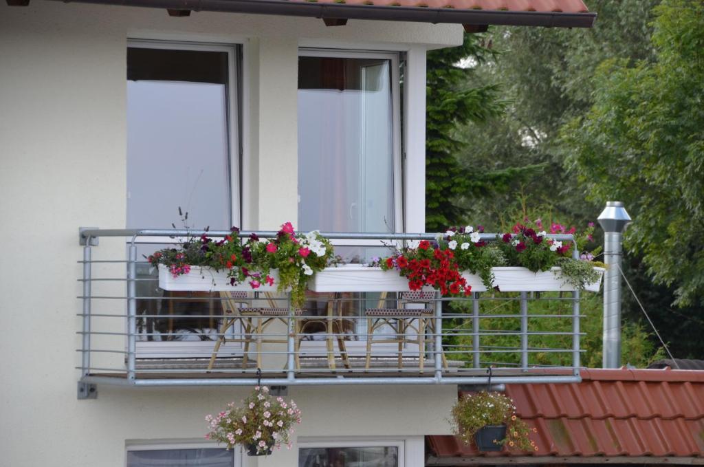 Hotel Zur Bruecke Greifswald Zewnętrze zdjęcie